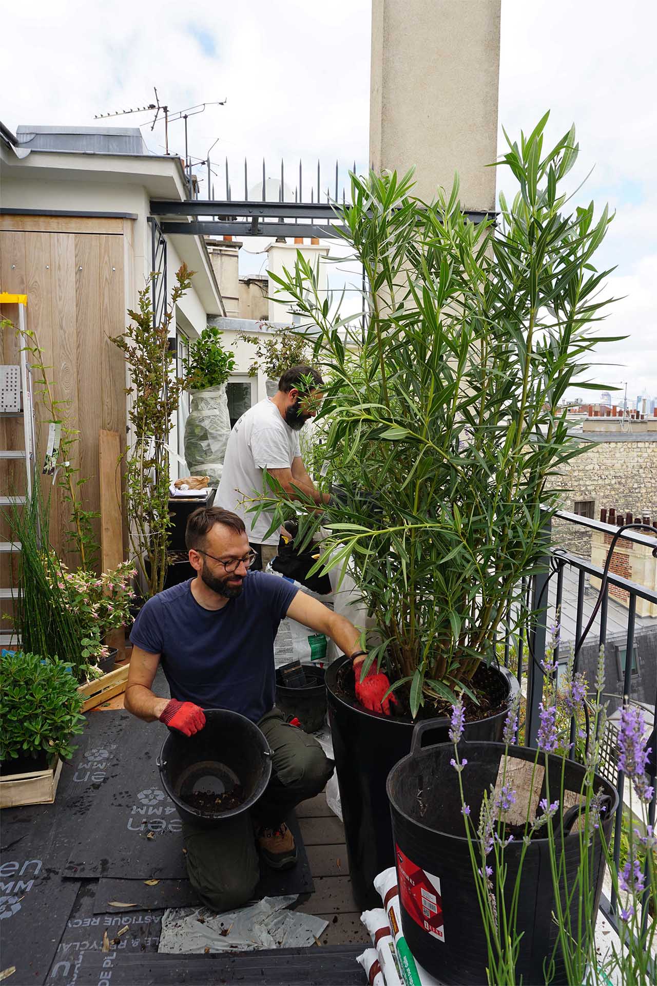 Equipe-creation-jardins-Thomas-Padoan_Paysagiste_Atelier-des-Feuillages