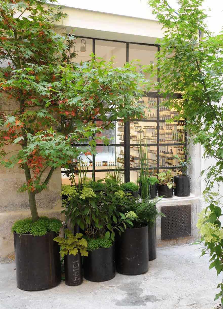 Projet-Aesop-3_Paysagiste_Atelier-des-Feuillages_Mobile