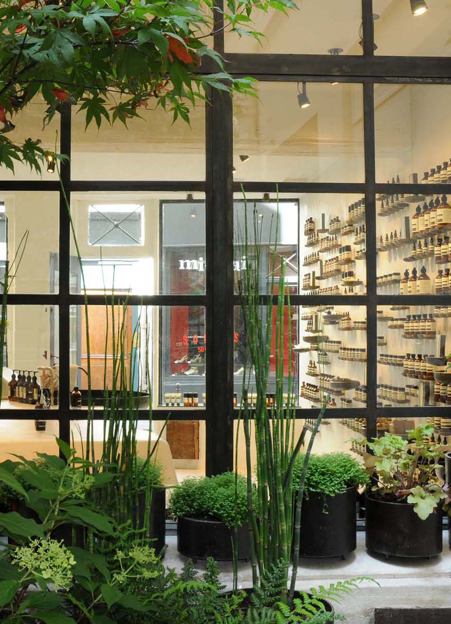 Projet-Aesop-4_Paysagiste_Atelier-des-Feuillages_Mobile
