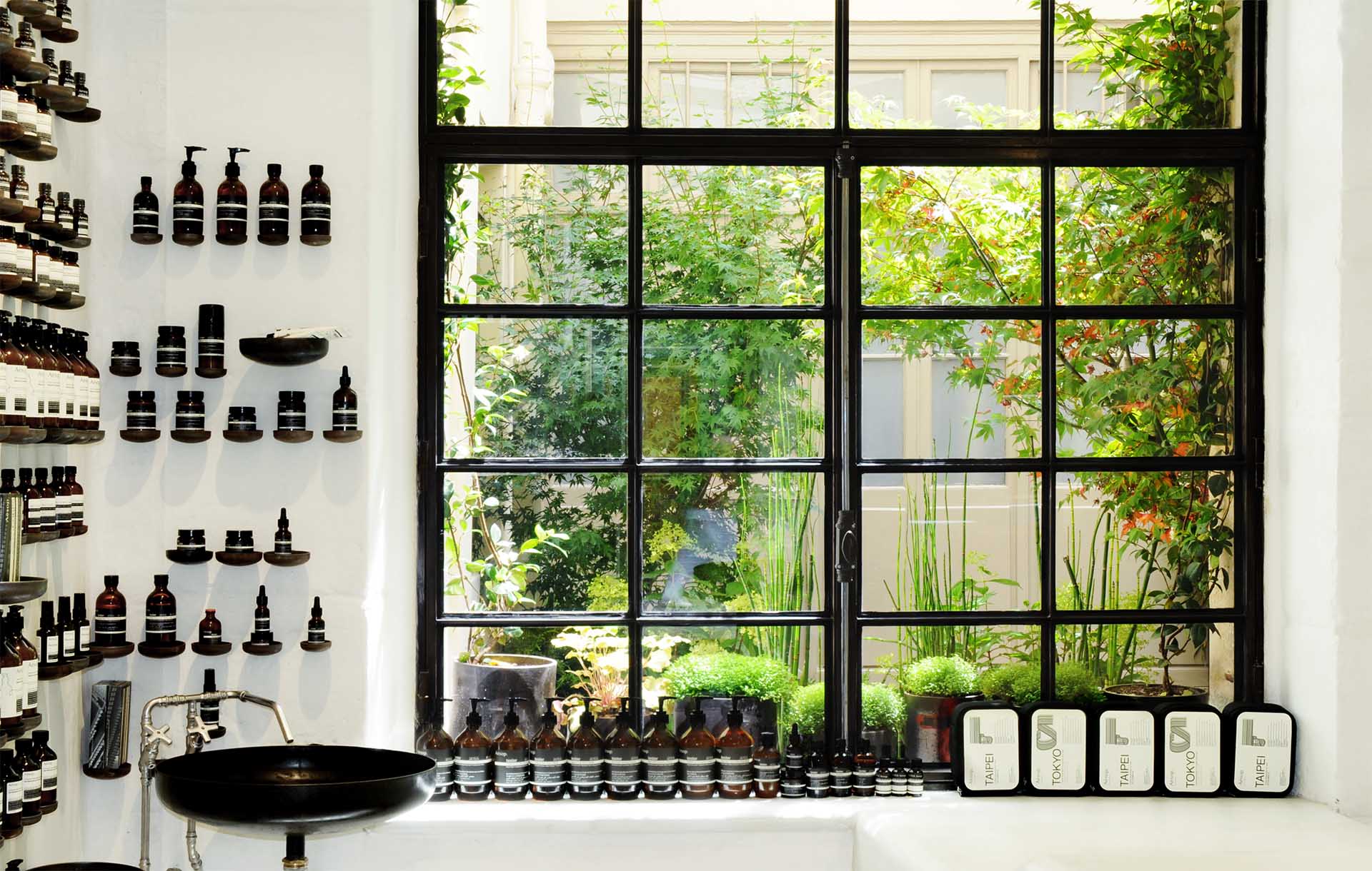 Projet-Aesop-6_Paysagiste_Atelier-des-Feuillages