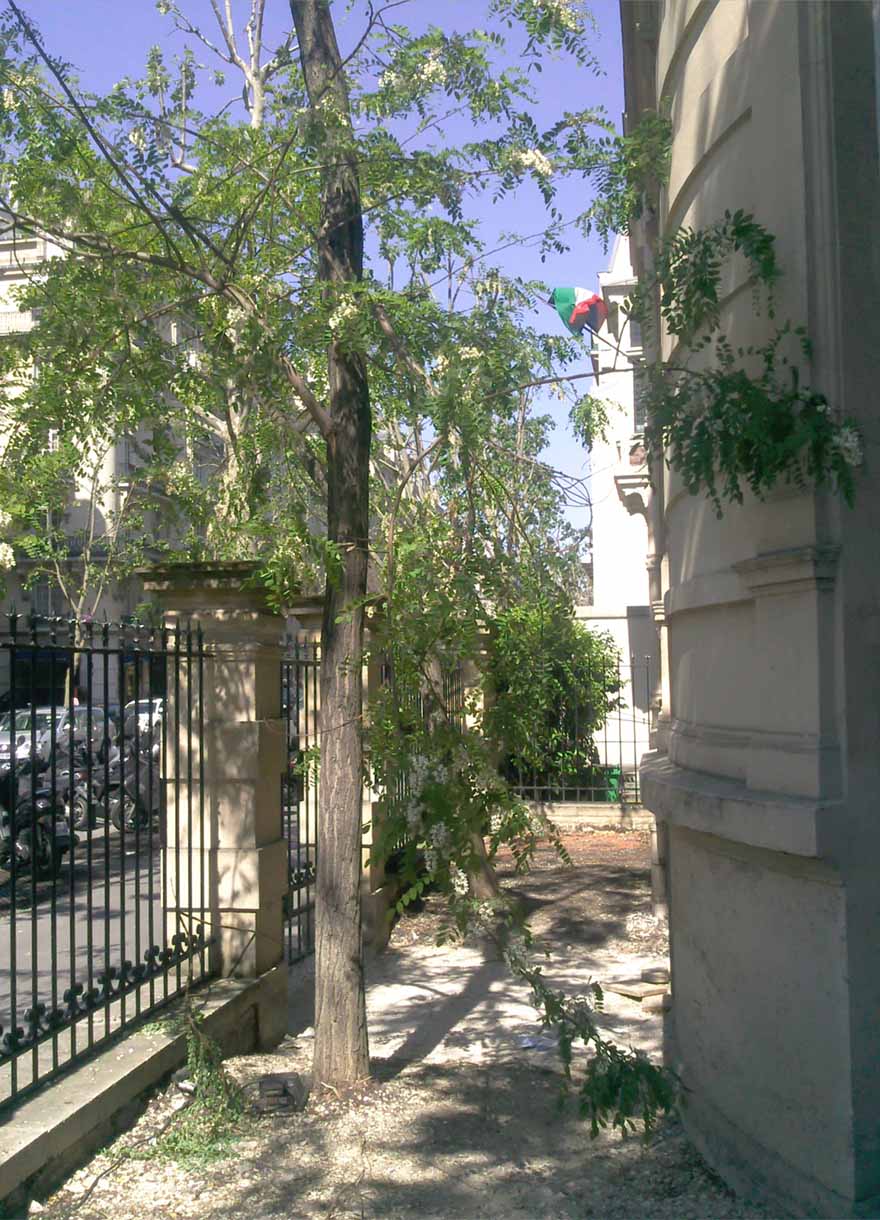 Projet-Boutique-Isabel-Marant-5_Paysagiste_Atelier-des-Feuillages_Mobile