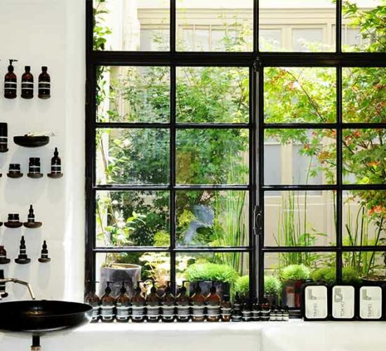 Vignette_Projet-Aesop_Paysagiste_Atelier-des-Feuillages