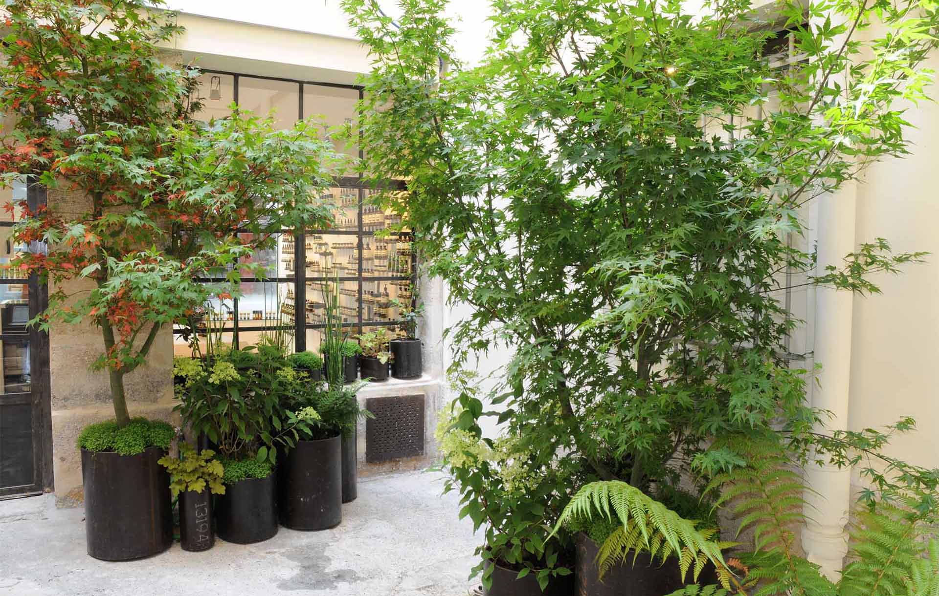 Projet-Aesop-3_Paysagiste_Atelier-des-Feuillages