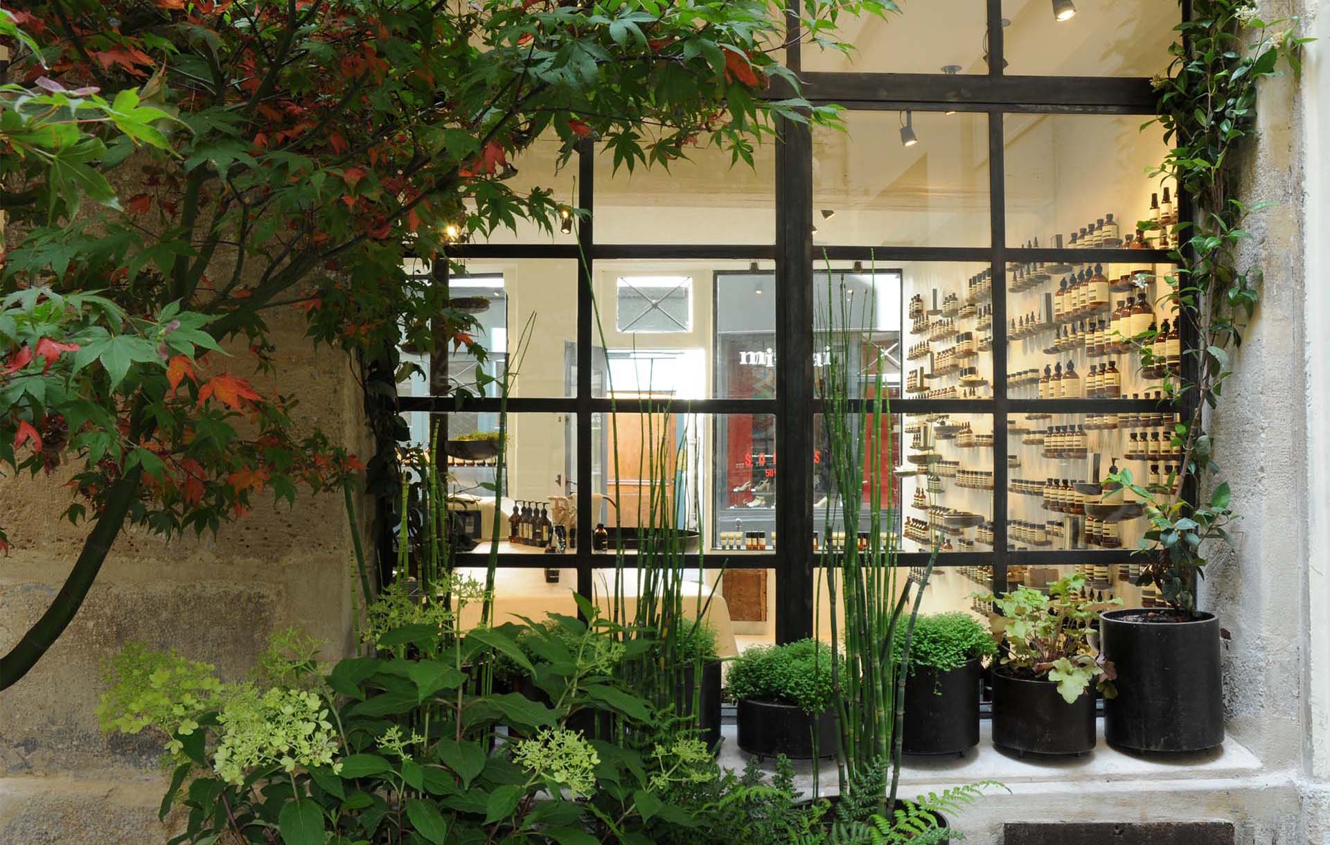 Projet-Aesop-4_Paysagiste_Atelier-des-Feuillages