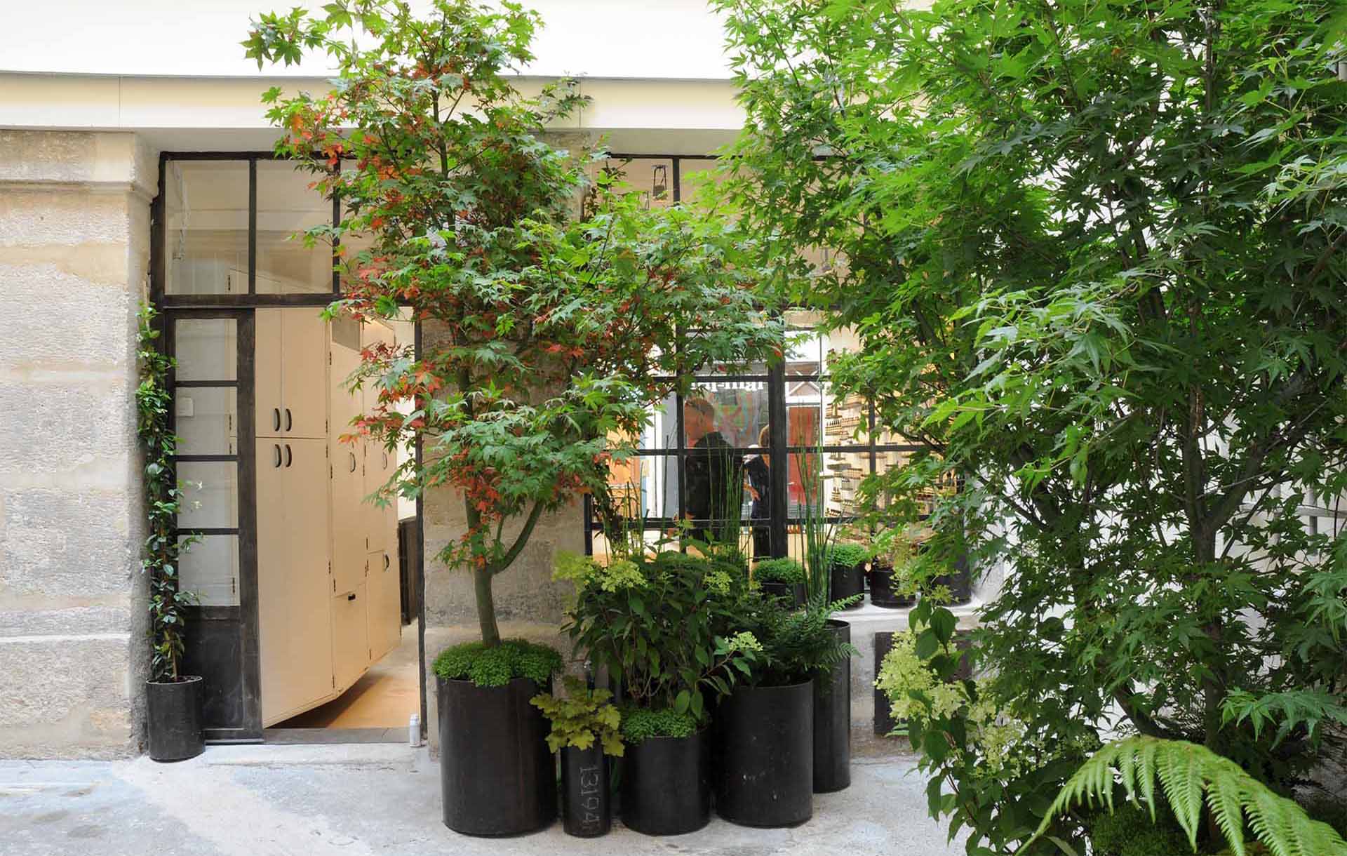 Projet-Aesop-5_Paysagiste_Atelier-des-Feuillages