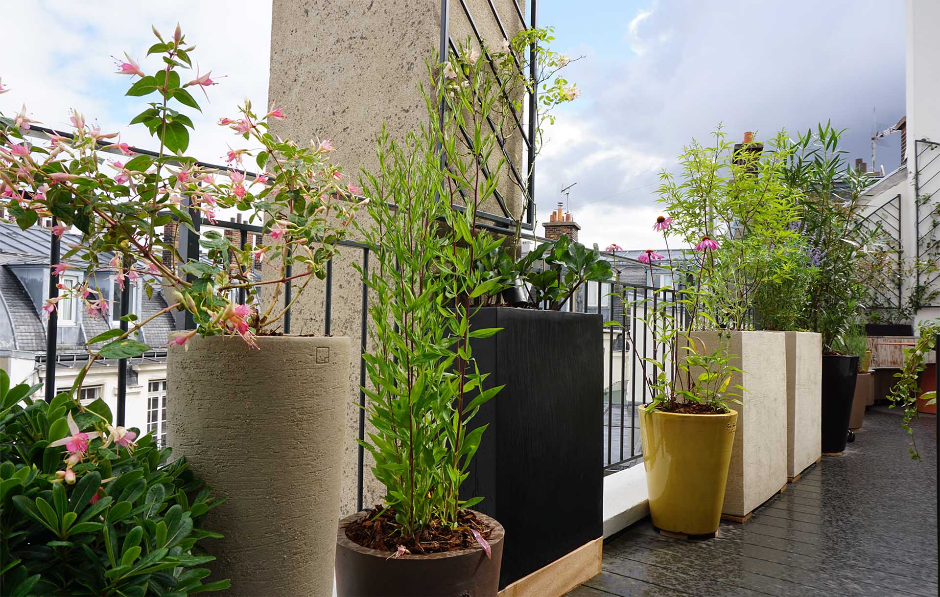 Projet-Monceau-1_Paysagiste_Atelier-des-Feuillages