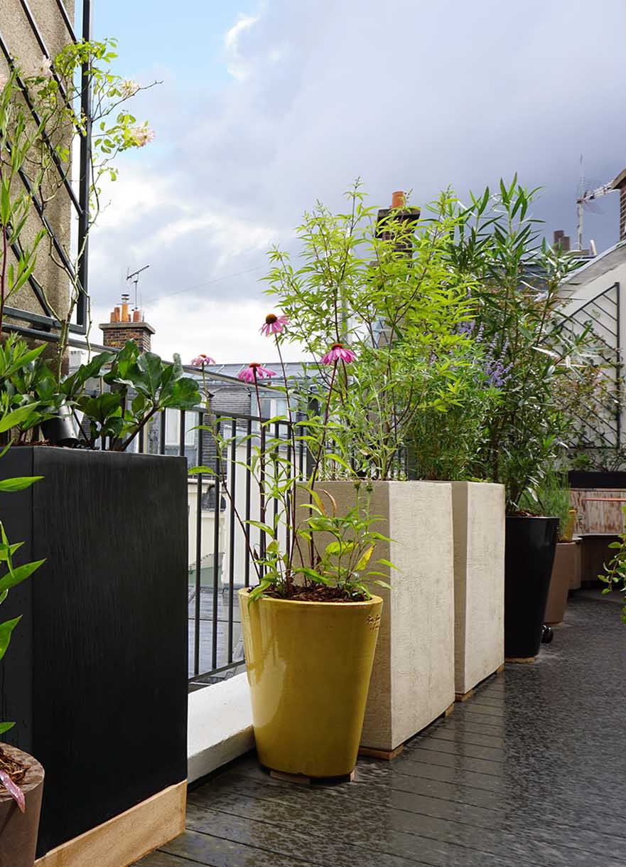 Projet-Monceau-1_Paysagiste_Atelier-des-Feuillages_Mobile