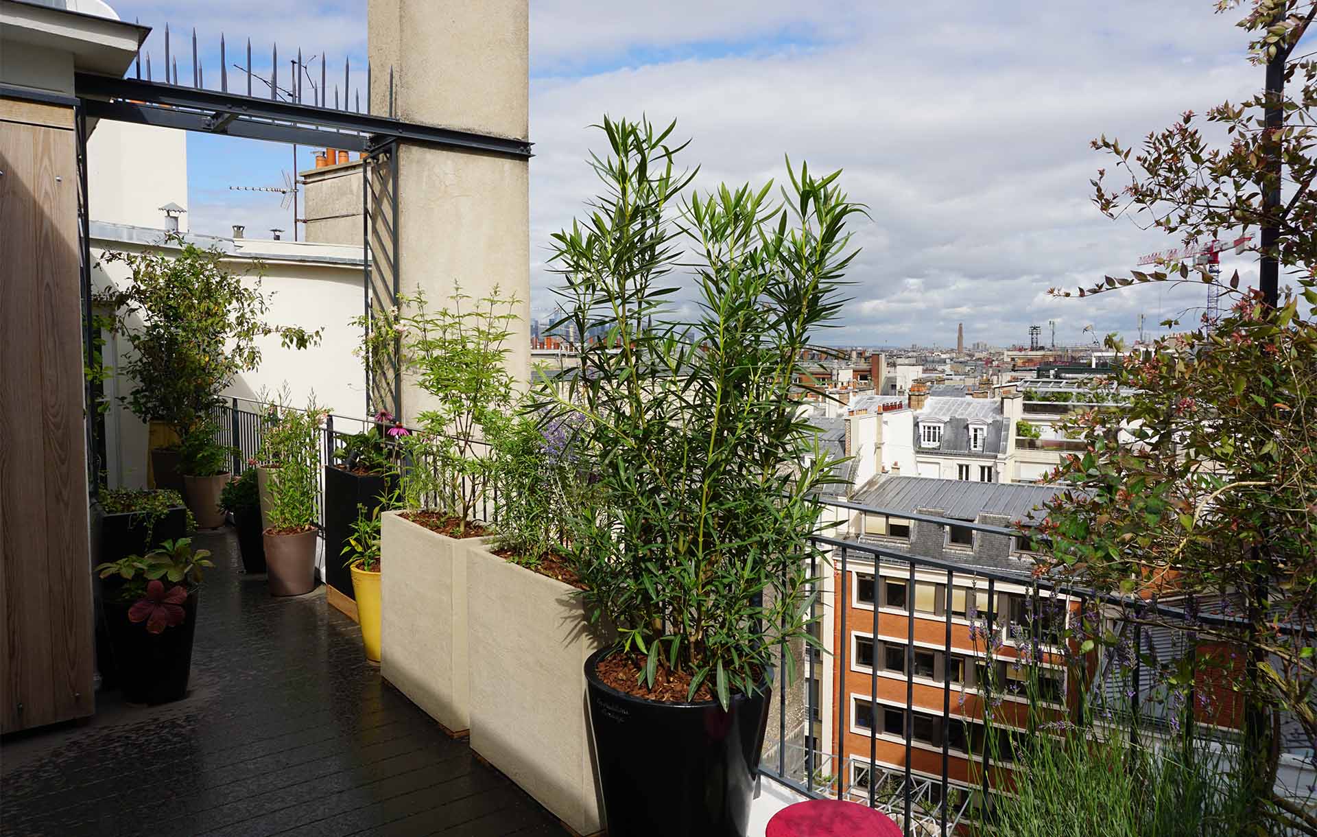 Projet-Monceau-2_Paysagiste_Atelier-des-Feuillages