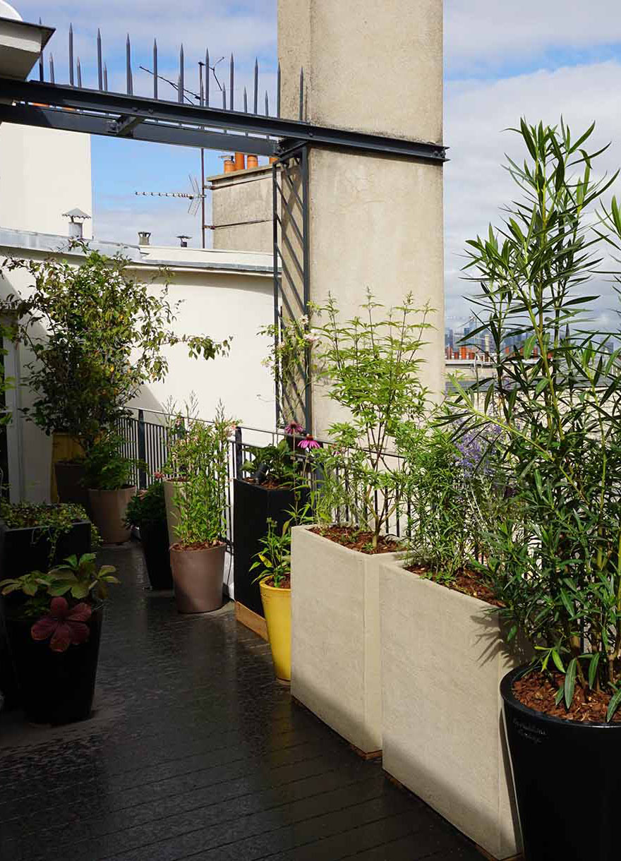 Projet-Monceau-2_Paysagiste_Atelier-des-FeuillagesProjet-Aesop-6_Paysagiste_Atelier-des-Feuillages_Mobile