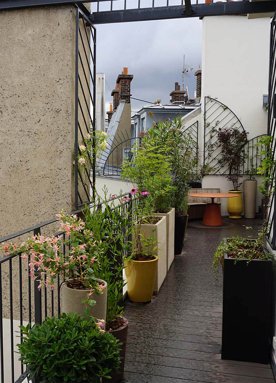 Projet-Monceau-4_Paysagiste_Atelier-des-FeuillagesProjet-Aesop-6_Paysagiste_Atelier-des-Feuillages_Mobile