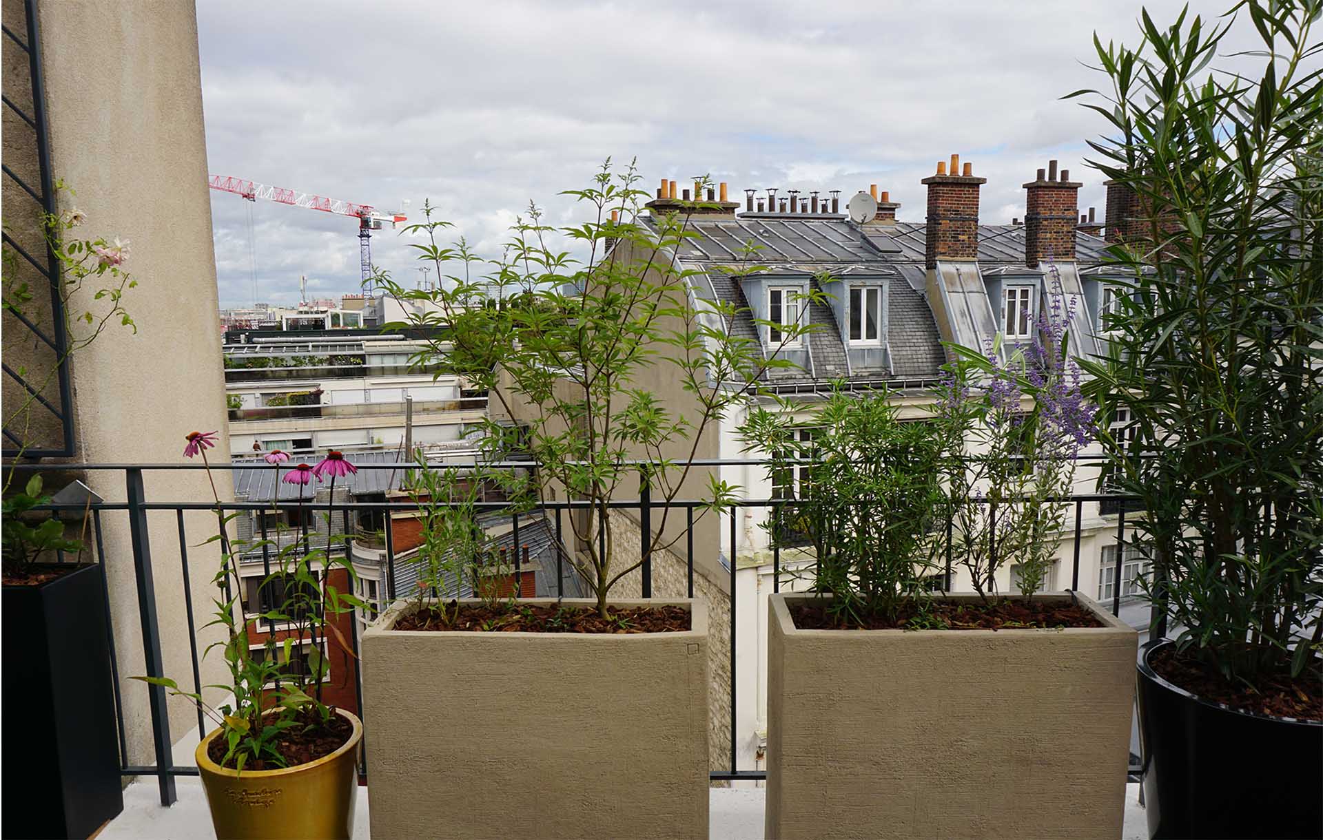 Projet-Monceau-5_Paysagiste_Atelier-des-Feuillages