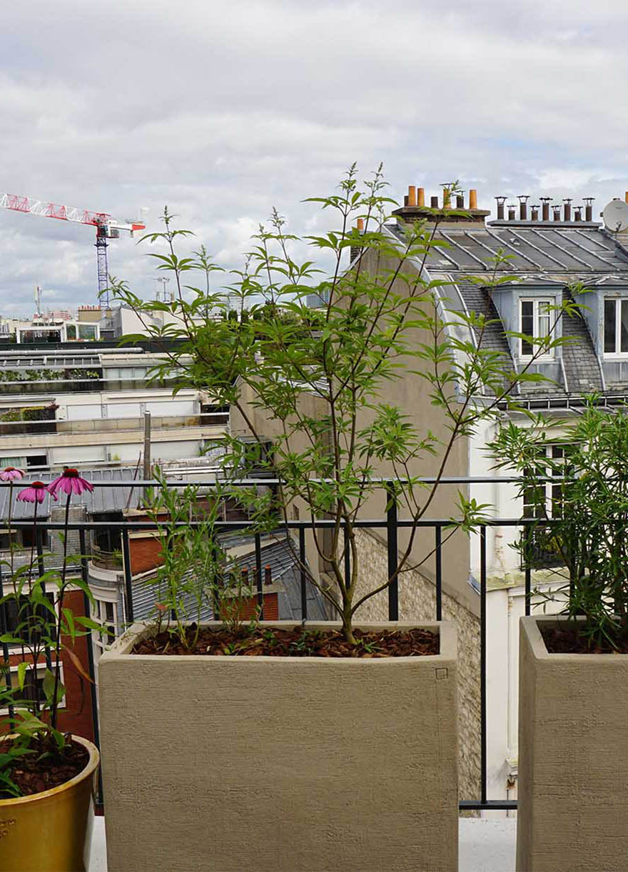 Projet-Monceau-5_Paysagiste_Atelier-des-FeuillagesProjet-Aesop-6_Paysagiste_Atelier-des-Feuillages_Mobile