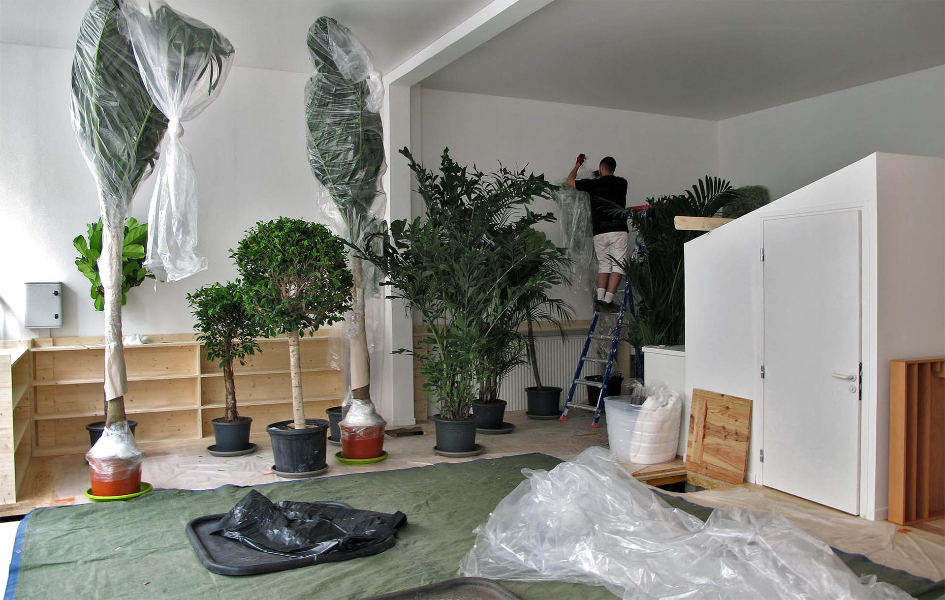 Projet-Montessori-1_Paysagiste_Atelier-des-Feuillages
