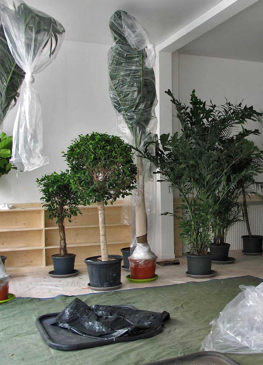 Projet-Montessori-1_Paysagiste_Atelier-des-Feuillages_Mobile