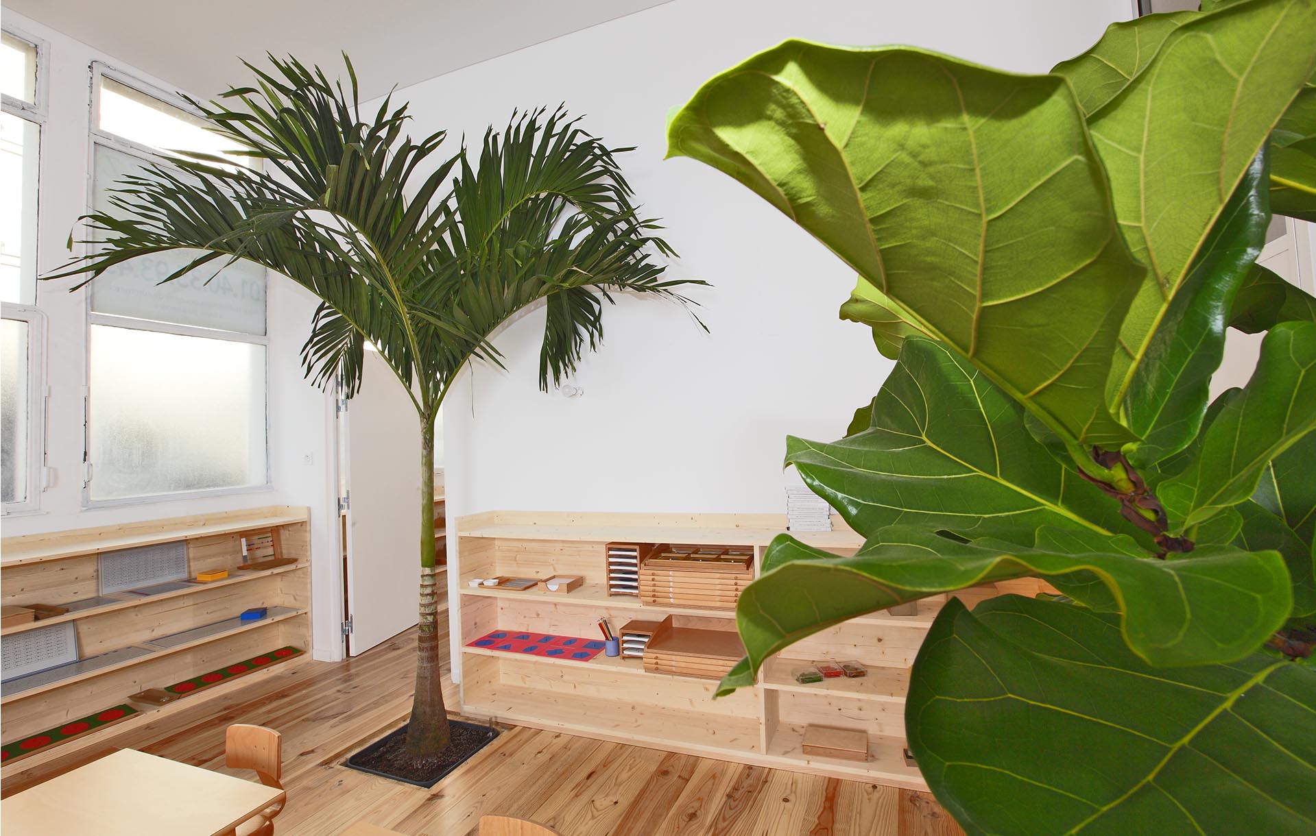 Projet-Montessori-4_Paysagiste_Atelier-des-Feuillages