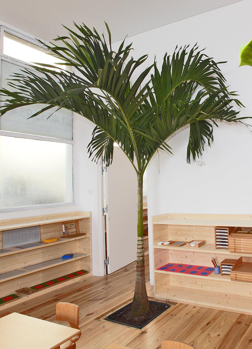 Projet-Montessori-4_Paysagiste_Atelier-des-Feuillages_Mobile