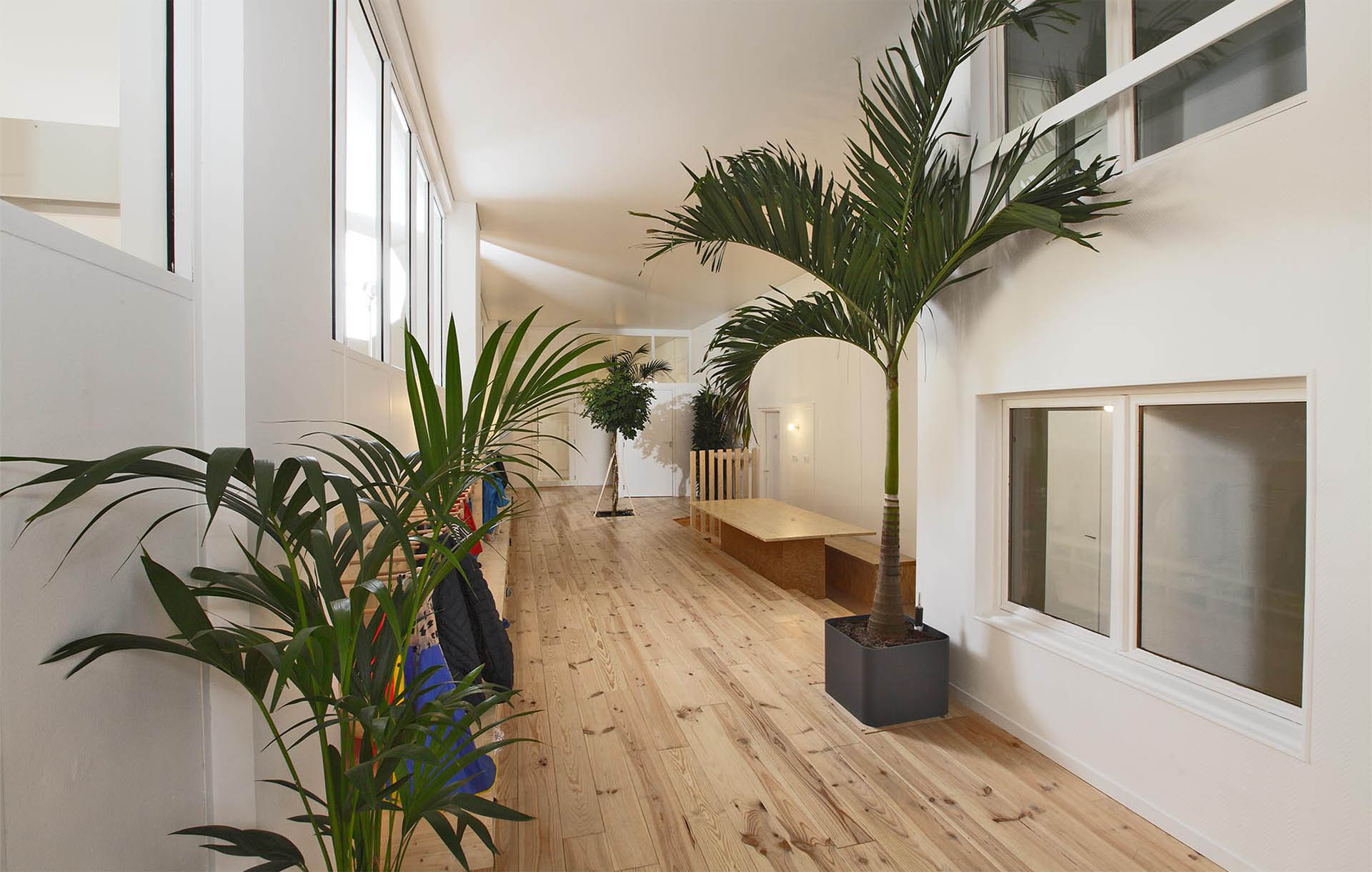 Projet-Montessori-5_Paysagiste_Atelier-des-Feuillages