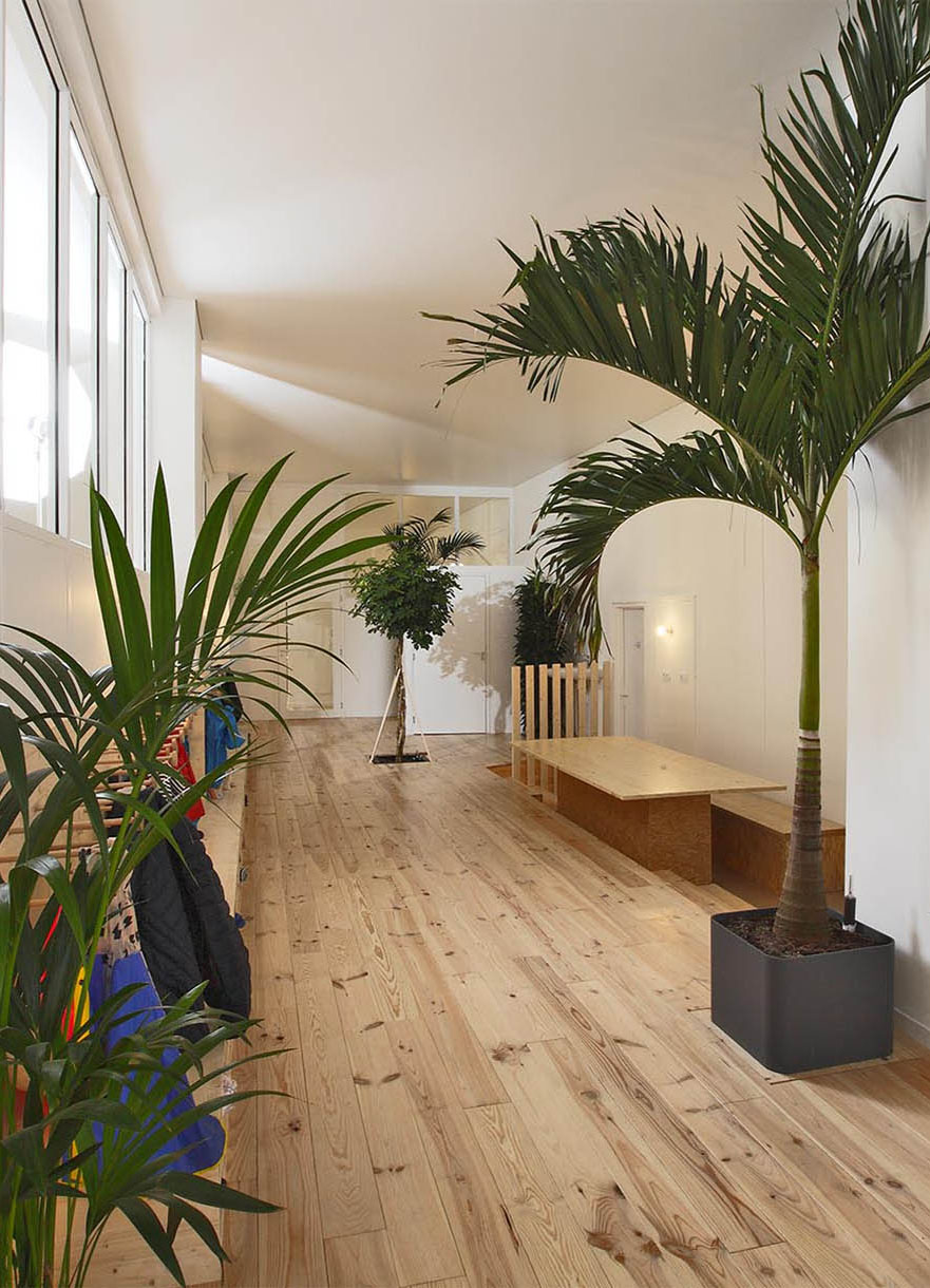 Projet-Montessori-5_Paysagiste_Atelier-des-Feuillages_Mobile
