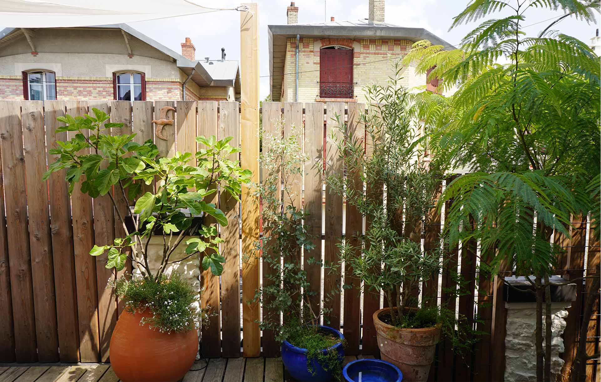 Projet-Mouzaia-3_Paysagiste_Atelier-des-Feuillages