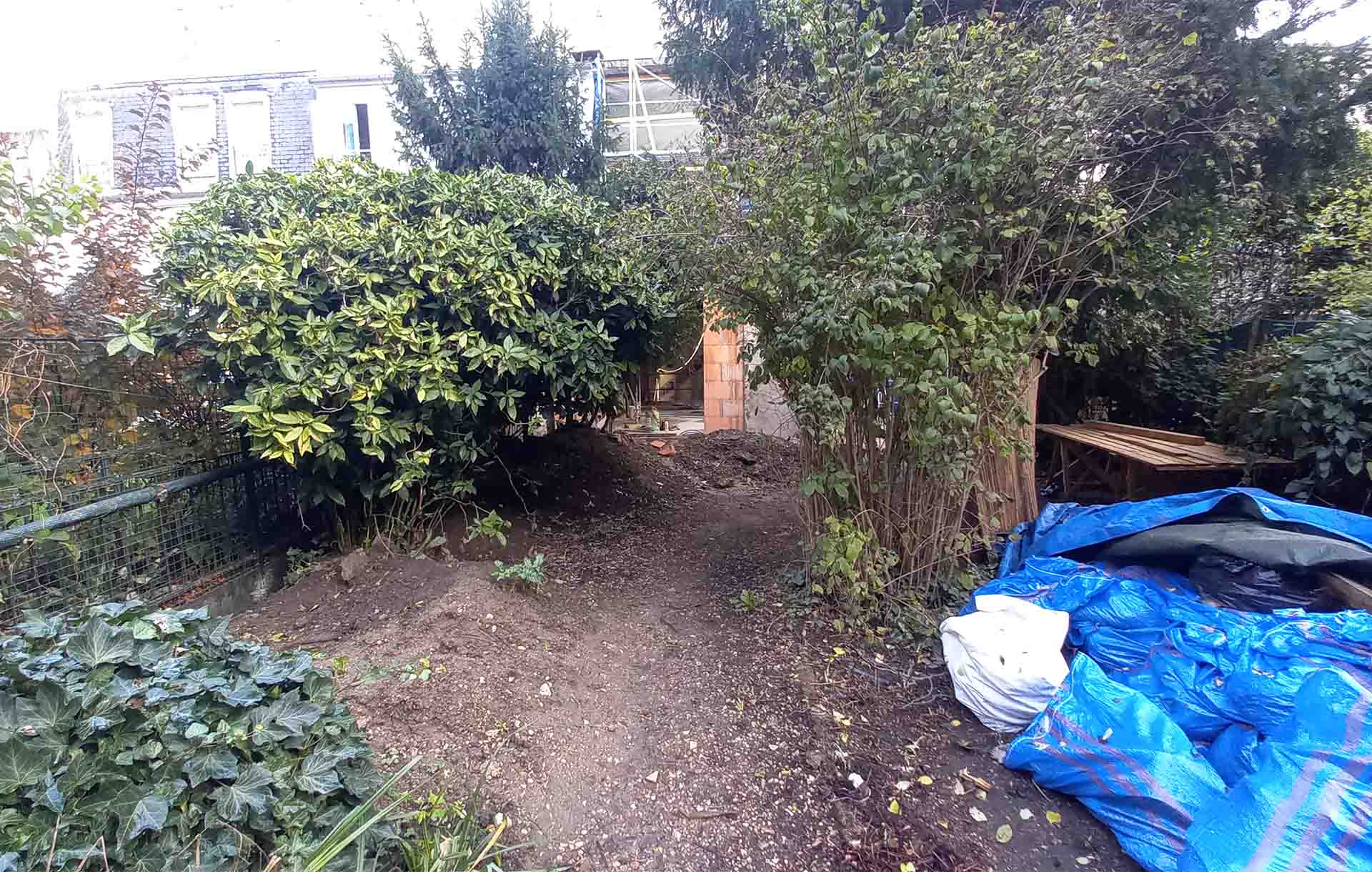 Projet-Paris-1_Paysagiste_Atelier-des-Feuillages