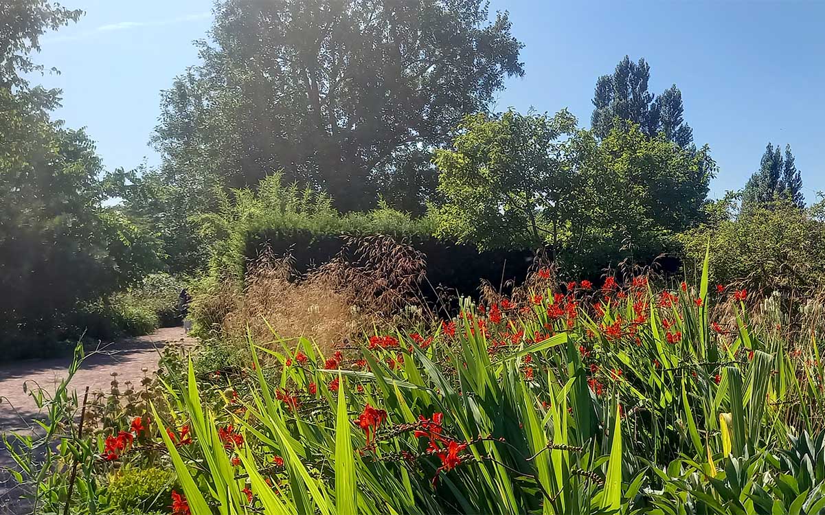 Jardin-de-Lund-Suede-1_Blog_Thomas-padoan_Paysagiste_Atelier-des-feuillages